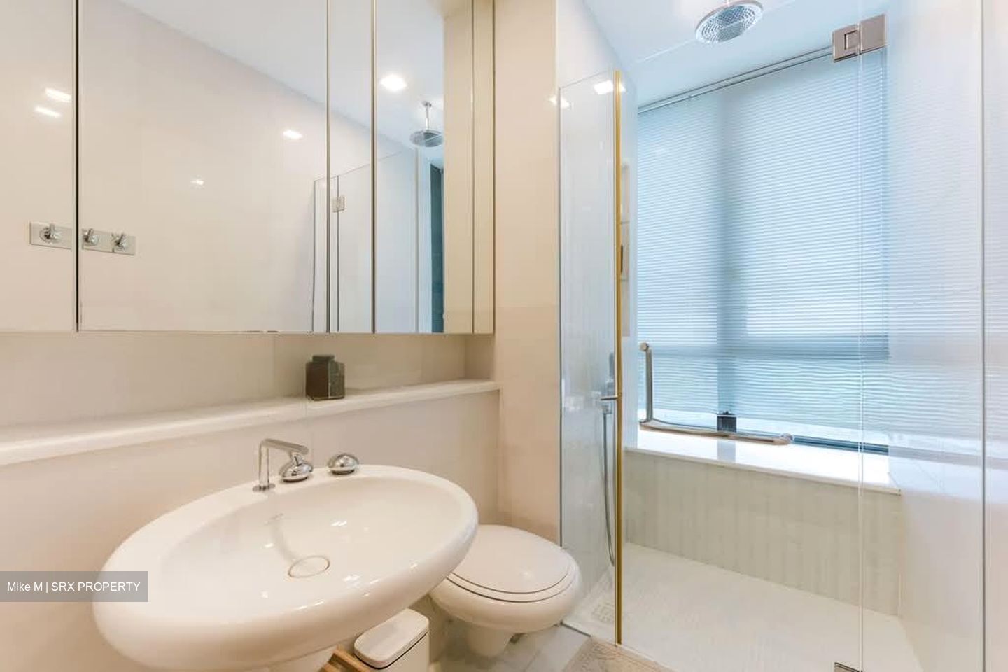 Skyline 360 @ Saint Thomas Walk (D9), Condominium #570933221